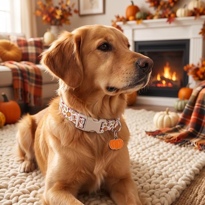 Fall Dog Collar, Medium Collar for Medium Girls Boys Dogs, M