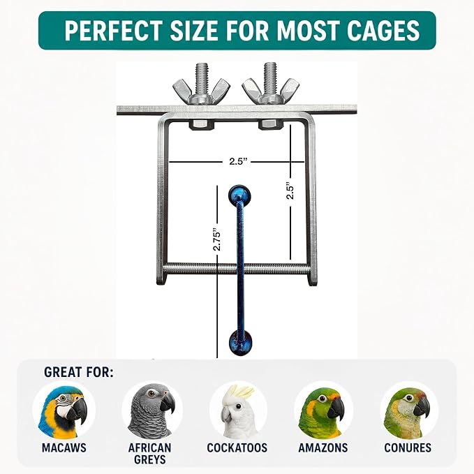 Bird Toys for Large Birds (Blue Spinner) Stainless Steel Bird Toy with Traveling Spinner | Macaw Toys | Durable Puzzle Enrichment Toy for Medium to Large Birds Cockatoos Parrot | Bird Cage Accessories
