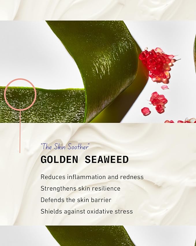 Pash Skin Barrier Rescue & Repair Daily Moisturizer, Fragrance-Free, Face & Body Lotion, Sensitive Skin, with Aloe Vera, Golden Seaweed & Caviar Lime Extract | Instantly Soothes Dry and Irritated Skin