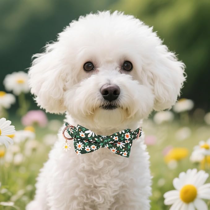 ADOGGYGO Floral Girl Dog Collar with Bow Tie, Cute Daisy Bowtie, Small