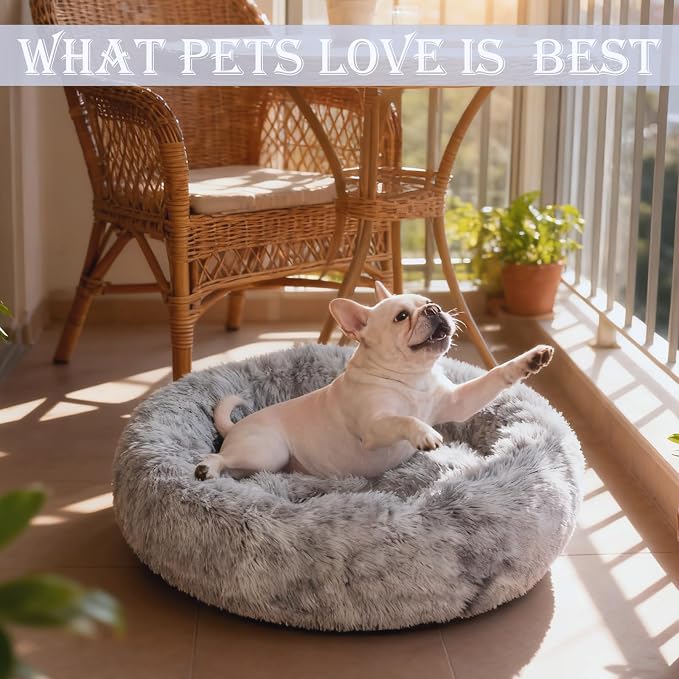 Washable Calming Dog & Cat Bed for Ultra Large Small Medium Size Pet | Donut Round Cute Warming Mat House Supply Indoor, 8 Sized Deal Necessity Essential Furniture for Boy Girl Puppy Kitten kitty