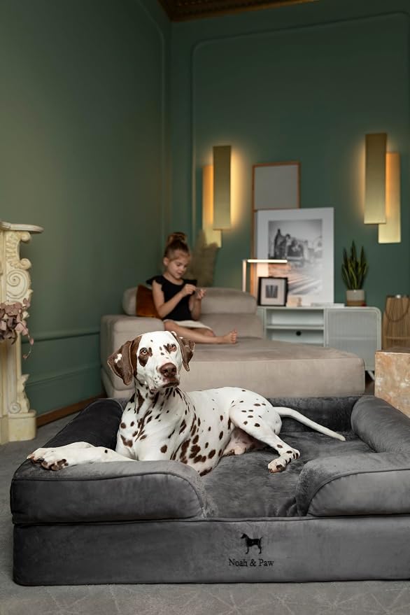NOAH & PAW XL Dog Bed, 45x35x11 Inch, Orthopedic Large Dog Beds, Eggshell Memory Foam Infused with Cooling Gel, Inner Cover, Water Resistant, Machine Washable (Velvet Sofa Collection)