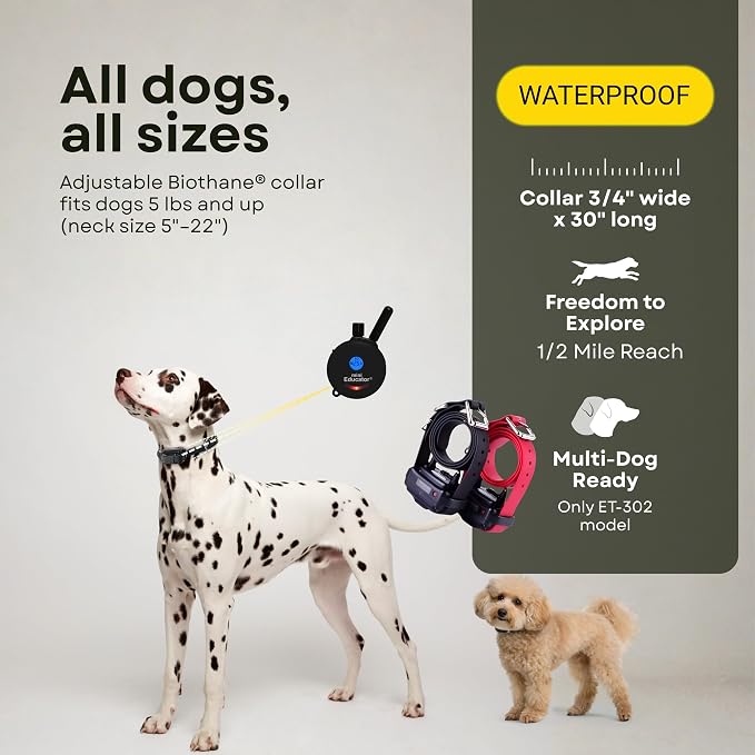 E-Collar ET-300 / ET-302 Dog Training Collar System with Remote - 1/2 Mile Range - Waterproof, Vibration, Sensation - Includes eOutletDeals Pet Towel (2 Dog System - ET-302 Black)