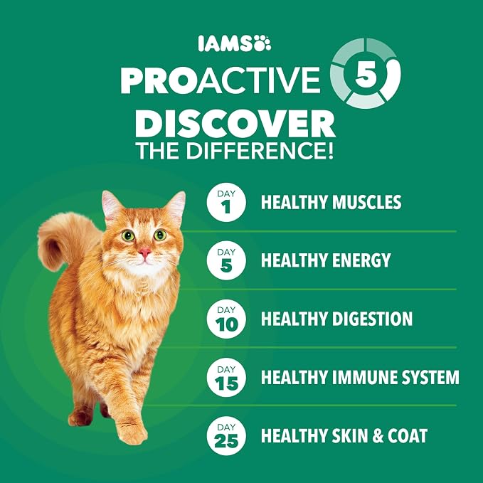 IAMS Proactive Health Healthy Senior Dry Cat Food, Chicken Recipe, 3.5 lb | Real chicken, antioxidants for immune health, supports vital organs, bones & joints, natural fiber & prebiotics, 0% fillers