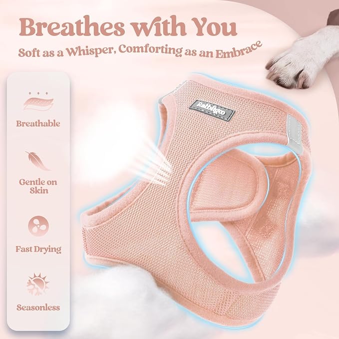 rabbitgoo Dog Harness Small Sized and Leash Set, Step-in Puppy Pet Vest | Light, Soft, Breathable Air Mesh, Easy on and Remove with Hook & Loop, Secure Reflective for Walking, Pink XXXS
