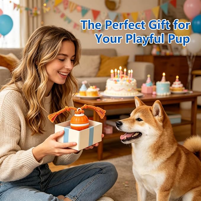 Interactive Dog Ball, 360° Self-Moving, USB-C, LED and Squeaker