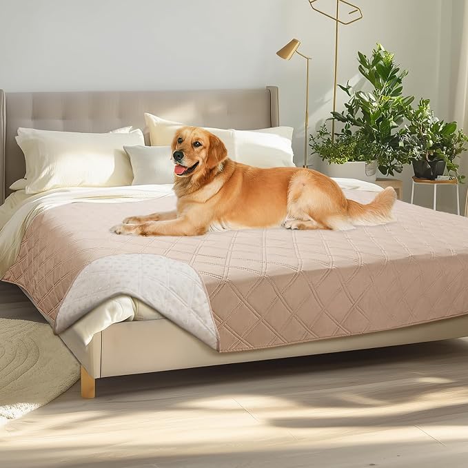Luciphia Waterproof Couch Cover for Dogs, Non-Slip Pet Sofa Protector | Non-slip waterproof couch cover scratch-resistant machine washable protects sofa bed from spills fur claws, Beige, 68" x 82"
