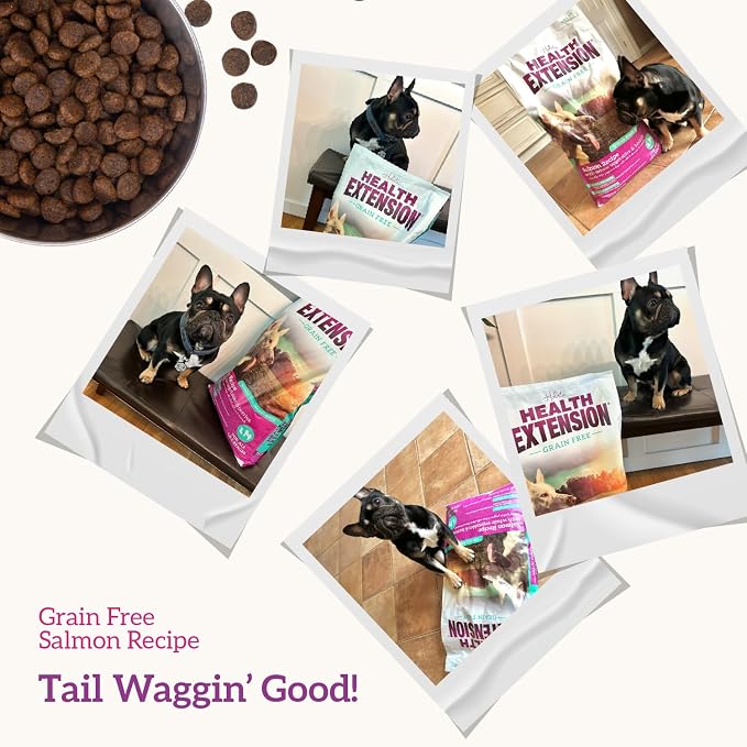 Health Extension Grain Free Salmon & Sweet Potato Dry Dog Food - 30+ Superfoods and Probiotics for All Life Stages (10 lb)