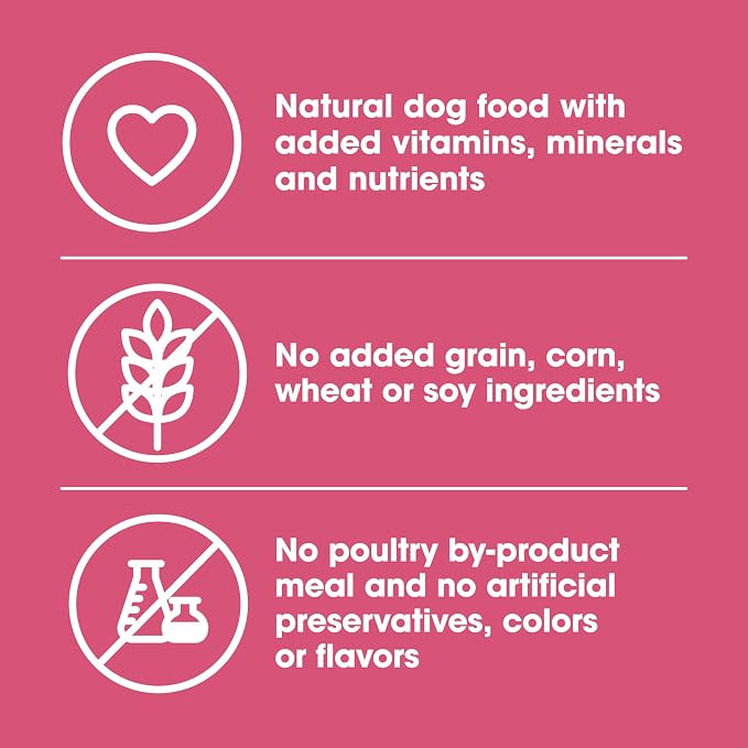 Nature's Recipe Grain Free Salmon Dry Dog Food, 34 lb. Bag | Fiber From Sweet Potatoes & Pumpkin Helps Support Digestion and Immune System Health