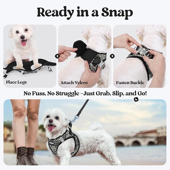 rabbitgoo Dog Harness Small Sized and Leash Set, Step-in Puppy Pet Vest | Light, Soft, Breathable Air Mesh, Easy on and Remove with Hook & Loop, Secure Reflective for Walking, Black Zigzag XXS