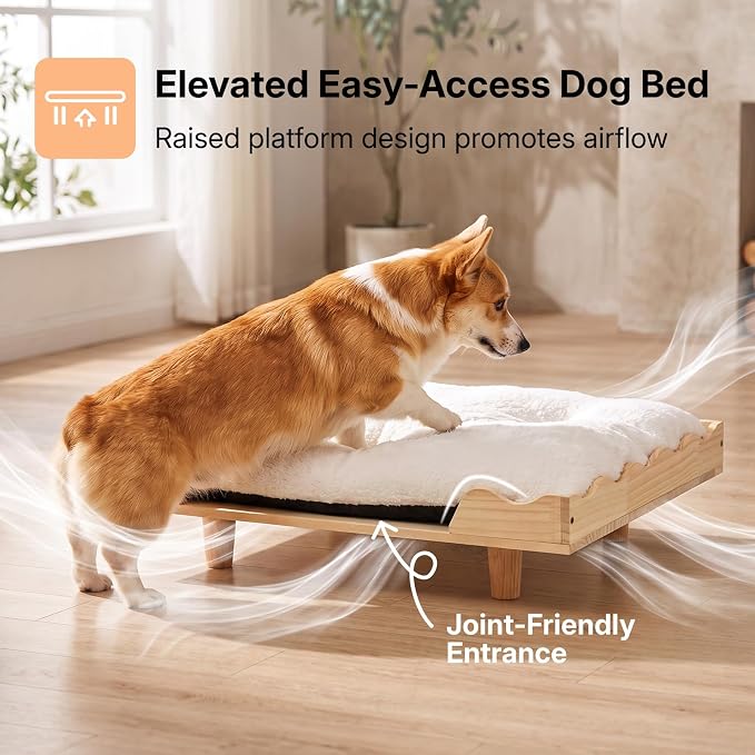 Veehoo Elevated Dog Bed for Small Dogs, Fancy Luxury Wooden Dog Bed Frame | Aesthetic Raised Pet Furniture, Low Entry, Sturdy Real Wood Frame, Soft Cushion, Non-slip Bottom, Easy Assembly, 28" x 22"
