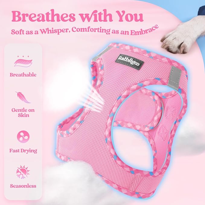 rabbitgoo Dog Harness Small Sized and Leash Set, Step-in Puppy Pet Vest | Light, Soft, Breathable Air Mesh, Easy on and Remove with Hook & Loop, Secure Reflective for Walking, Pink & Plaid Trim M