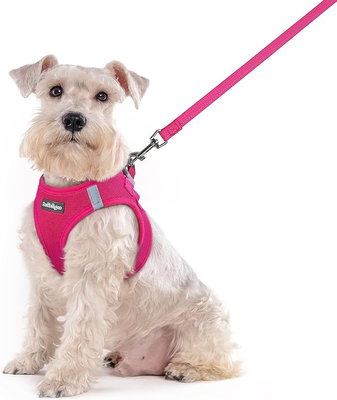 rabbitgoo Dog Harness Medium Sized and Leash Set, Step-in Puppy Pet Vest | Light, Soft, Breathable Air Mesh, Easy on and Remove with Hook & Loop, Secure Reflective for Walking, Rose Red XXL