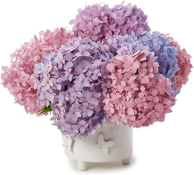 Two's Company Butterfly Footed Cachepot Vase, 5.75-Inch, Ceramic, White