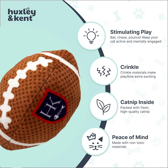 Huxley & Kent Power Plush Squeaky Dog Toy, HK Football