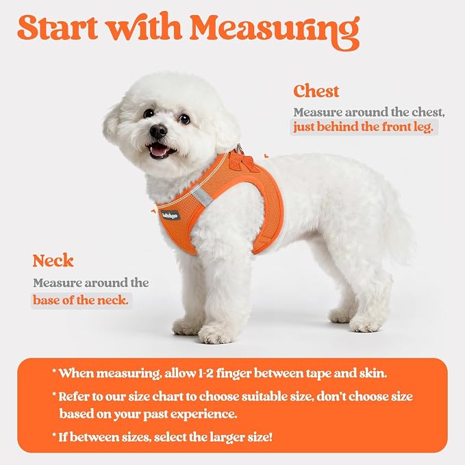 rabbitgoo Dog Harness Small Sized and Leash Set, Step-in Puppy Pet Vest | Light, Soft, Breathable Air Mesh, Easy on and Remove with Hook & Loop, Secure Reflective for Walking, Orange XXXS