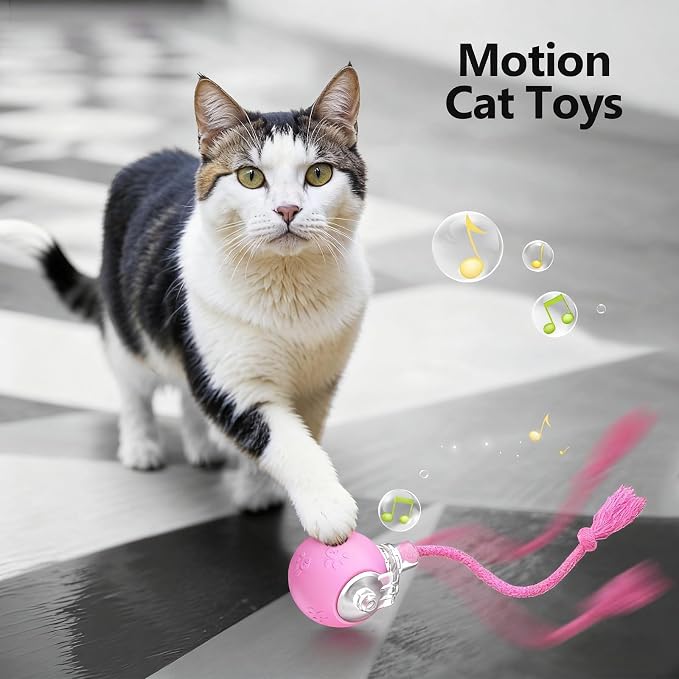 Speed 2.0 Tail Interactive Cat Toys, Rechargeable Ball for Indoor Cats