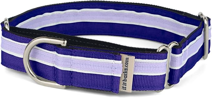If It Barks 1" Martingale Collar for Dogs, Adjustable Nylon, USA Made, Large, Grape Crush