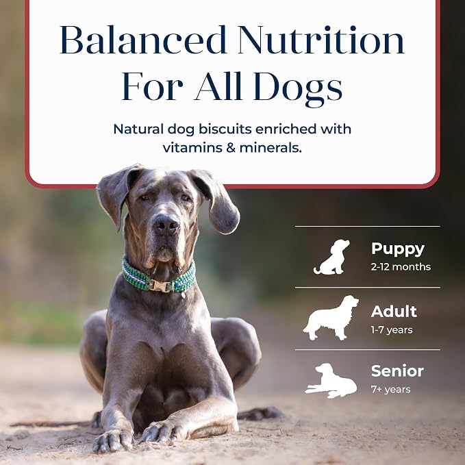 Blue Buffalo Basics Crunchy Dog Biscuits for Skin & Stomach Care, Limited Ingredient Diet Dog Treats, Salmon & Potato Recipe, 6-oz. Bag (Pack of 6)