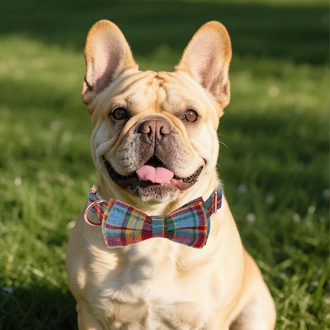 ADOGGYGO Plaid Dog Collar with Bow Tie, Detachable Tartan Bowtie, X-Small