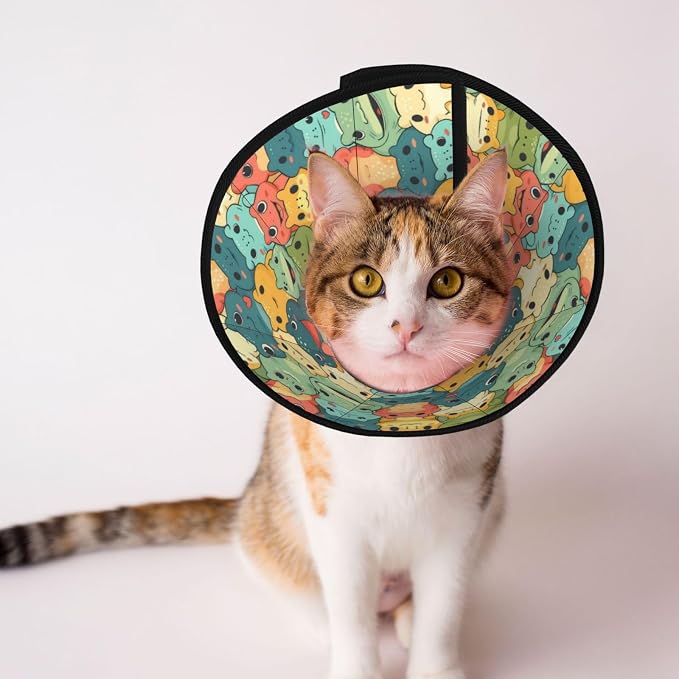 Cartoon Smart Frog for Adjustable Cat Cone Collar