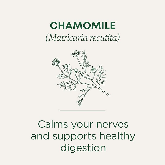 Traditional Medicinals Organic, Chamomile Tea - Supports Stress Relief and Relaxation - Kosher, Non-GMO, Caffeine-Free, Compostable - 16 Tea Bags