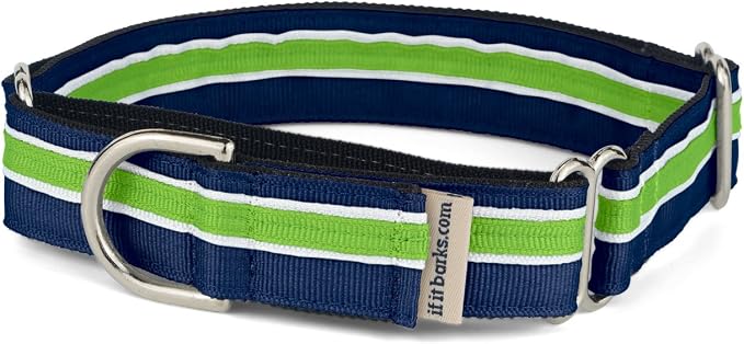 If It Barks 1" Martingale Collar for Dogs, Adjustable Nylon, USA Made, Medium, Finley