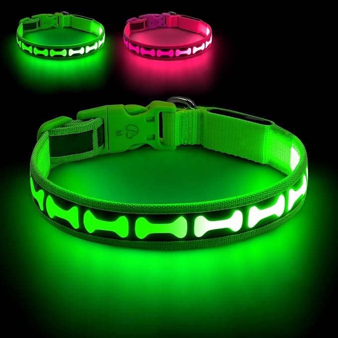 Flashseen LED Dog Collar Light Up USB-C Rechargeable (Green, Medium)