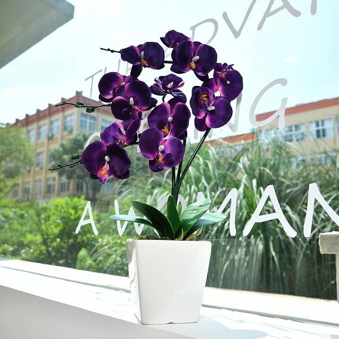 15" Silk Phalaenopsis Orchid in Square Pot, Dark Purple Flower Arrangements | Lifelike Faux Potted Blooms with Moss in a Ceramic Planter. Looks Real, Zero Upkeep, Ideal Centerpiece for Any Table