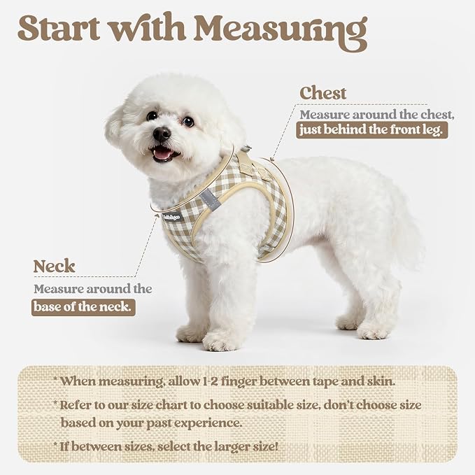 rabbitgoo Dog Harness Medium Sized and Leash Set, Step-in Puppy Pet Vest | Light, Soft, Breathable Air Mesh, Easy on and Remove with Hook & Loop, Secure Reflective for Walking, Beige Check L