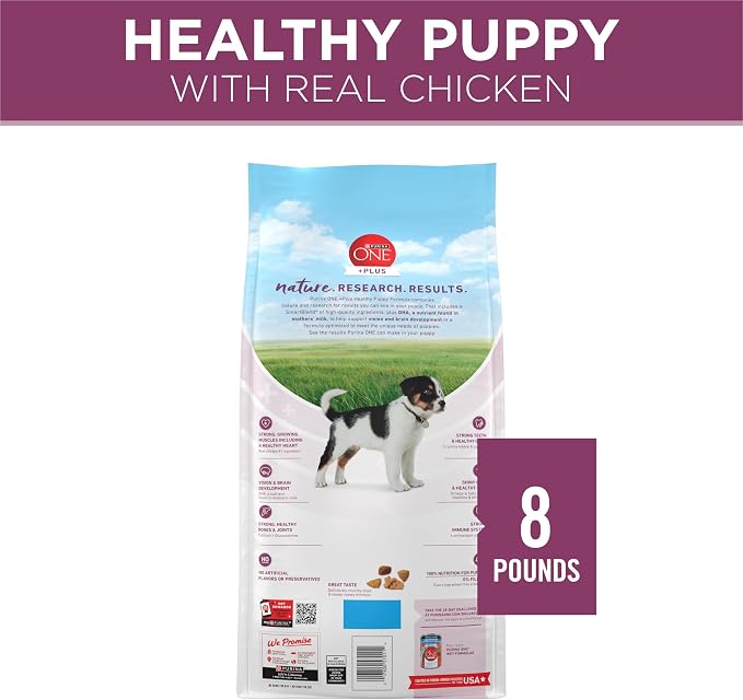 Purina ONE Plus Healthy Puppy Dry Food, Chicken, 8 lb Bag | High protein dog food for puppies, real chicken, DHA to support vision and brain development, antioxidants for immune support