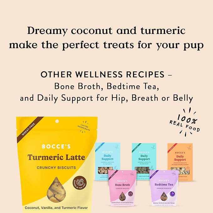Bocce's Bakery Turmeric Latte Flavor Crunchy Biscuits Dog Treats, 5 oz | Oven Baked, Wheat-Free Everyday Dog Treat Biscuits - Made with Real, Limited Ingredients and Baked in The USA