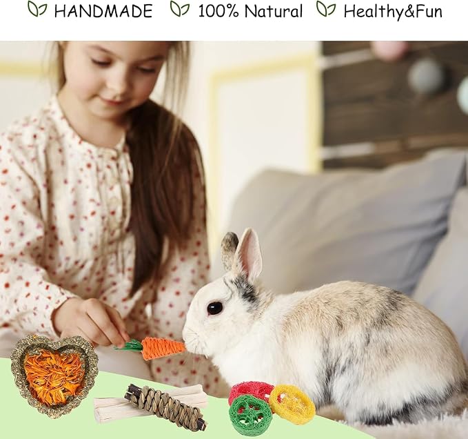 Bunny Toys, 21PCS Rabbit Chew Toys for Teeth, Guinea Pig Natural Treats