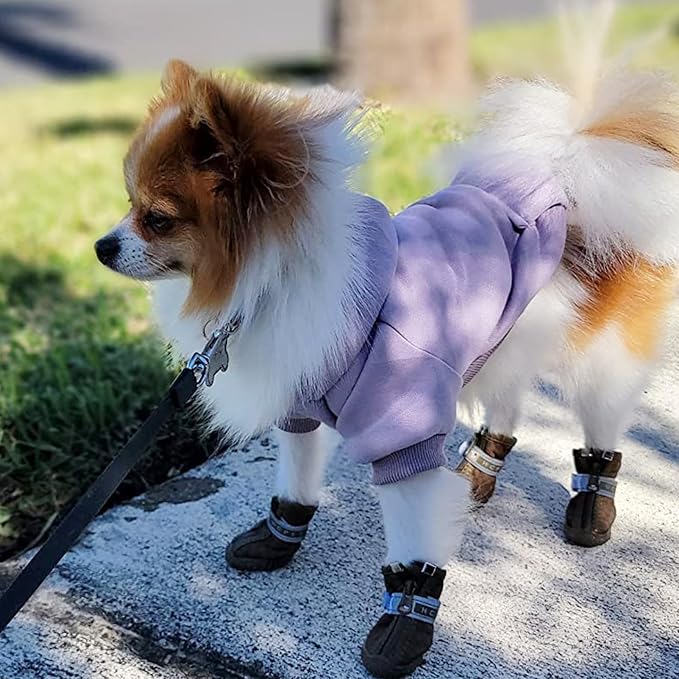 Soft Dog Hoodies for Small Dogs, Warm Fleece Puppy Clothes with Pocket | Jecikelon cold weather coat, cute puppy costume, breathable sweatshirt for dogs girl & boy, machine washable, easy on & off