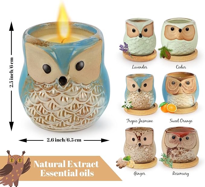 Kinforse Scented Candles Birthday Gifts for Women, Owl Gifts for Women, 6 Pack Novelty Owl Aromatherapy Candle Bulk Gift for Birthday Mother's Thanksgiving