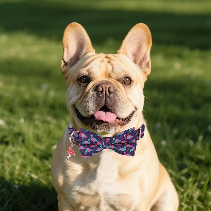 ADOGGYGO Flamingo Dog Collar with Bow Tie, Summer Hawaiian Collar, Small