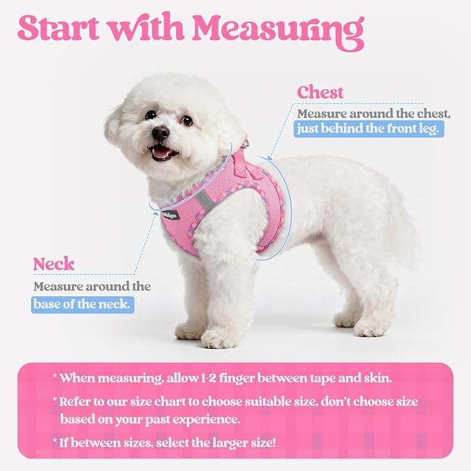 rabbitgoo Dog Harness Medium Sized and Leash Set, Step-in Puppy Pet Vest | Light, Soft, Breathable Air Mesh, Easy on and Remove with Hook & Loop, Secure Reflective for Walking, Pink & Plaid Trim L