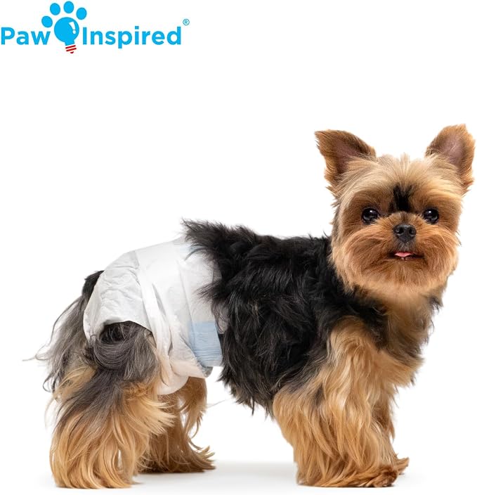 Paw Inspired Disposable Dog Diapers | Female Dog Diapers Ultra Protection | Diapers for Dogs in Heat, Excitable Urination, or Incontinence (12&144 Count) (X-Small (12 Count)) (Pack of 3)