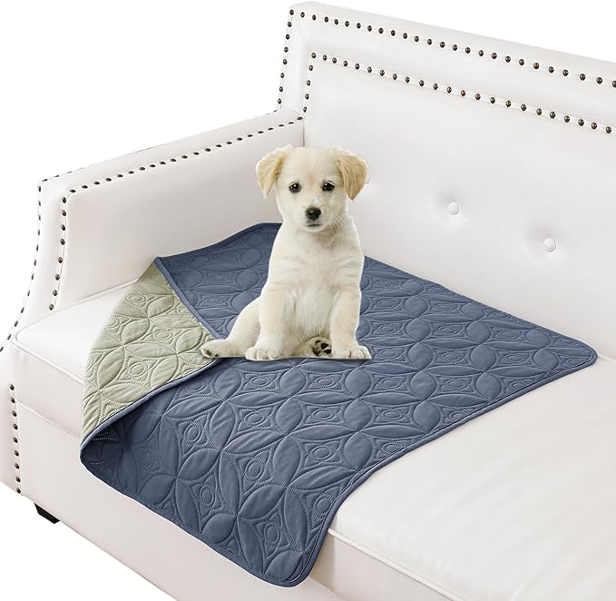 Waterproof Couch Cover for Dogs - Washable Pets Furniture Protector | TPU Leak-Proof Liner, Lightweight & Reversible, Fits Chair, Sofa, Bed, 30" x 30" , Blue/Green