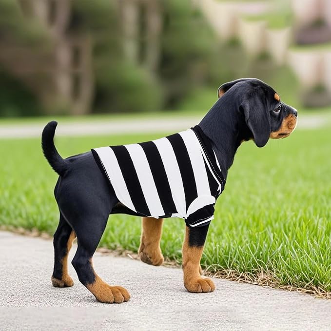 Pistha Dog Shirt Polo Shirt Striped Puppy Clothes for Boy Girl Pets | Dog Shirt Dog Clothes Pet Clothes with Summer Button Up for Small Medium Dogs Cats