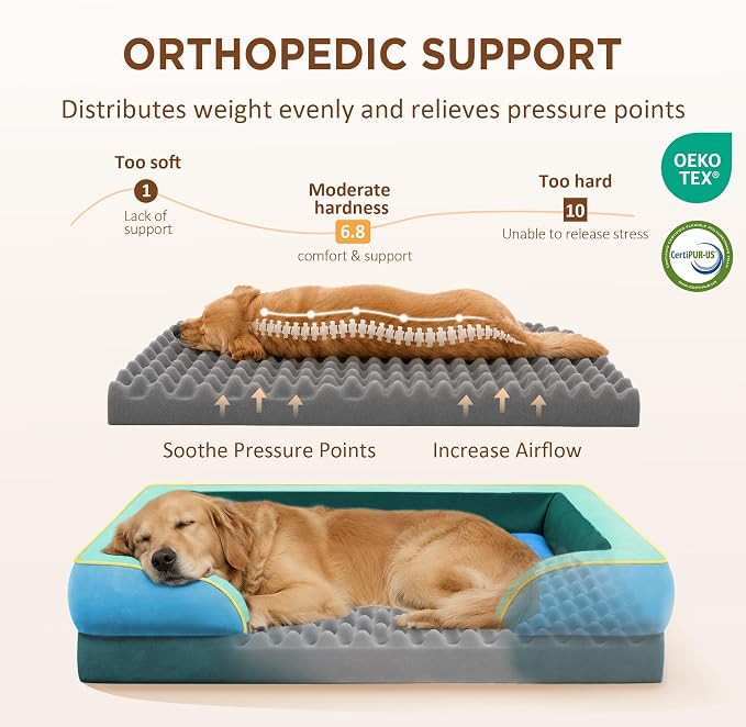 Comfort Expression Orthopedic Dog Beds for Large Sized Dog with Bolster | Waterproof Dog Couch Bed with Washable Cover & Non-Slip Bottom, Supportive Egg Crate Foam Large Pet Bed, 36x27 Inch
