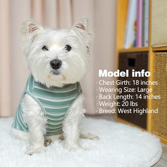 KYEESE 2Pack Waffle Dog Shirt for Small Dogs Striped Dog Sweater Tank Top | Cozy Warmth, Lightweight & Breathable, Gentle on Sensitive Skin, Stretchy & Free to Move, Comfortable Daily Wear