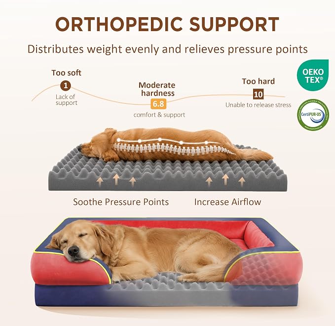 Comfort Expression Orthopedic Dog Bed for Extra Large Dogs with Bolster | Waterproof Dog Couch Bed with Washable Cover & Non-Slip Bottom, Supportive Egg Crate Foam XL Pet Bed, 45x35 Inch