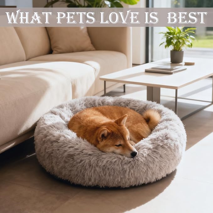 Washable Calming Dog & Cat Bed for Ultra Large Small Medium Size Pet | Donut Round Cute Warming Mat House Supply Indoor, 8 Sized Deal Necessity Essential Furniture for Boy Girl Puppy Kitten kitty