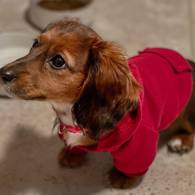 Soft Dog Hoodies for Small Dogs, Warm Fleece Puppy Clothes with Pocket | Jecikelon cold weather coat, cute puppy costume, breathable sweatshirt for dogs girl & boy, machine washable, easy on & off