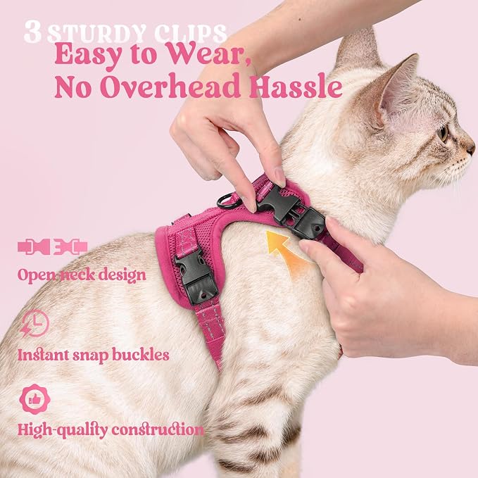 rabbitgoo Cat Harness and Leash Set, Easy-on with Neck Buckle, Rose Red