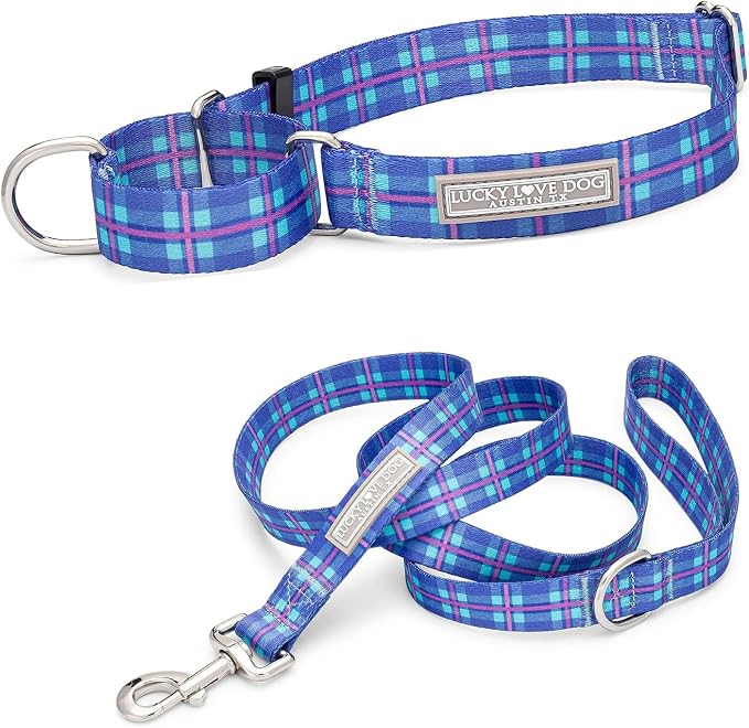 Lucky Love Dog Martingale Collar & Leash Set No Slip Cute – Scotty, Medium