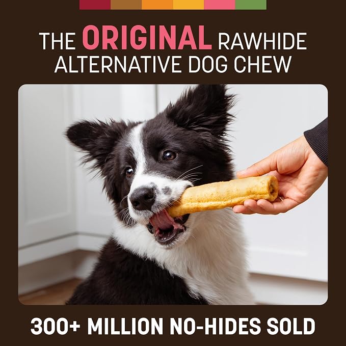Earth Animal No Hide Dog Chews - Rawhide Free Medium Rolls 3 Count Salmon | Medium Salmon Flavored Natural Rawhide Free Long Lasting Dog Chews - Treats for Medium Dogs and Aggressive Chewers