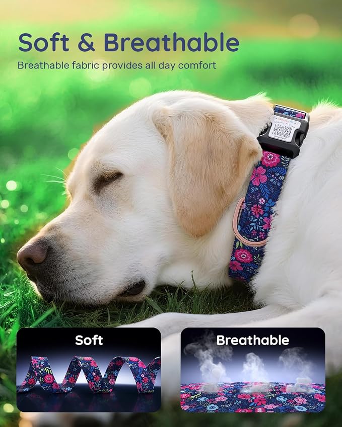 Dog Collar for Meidum Dogs with Smart QR Tags