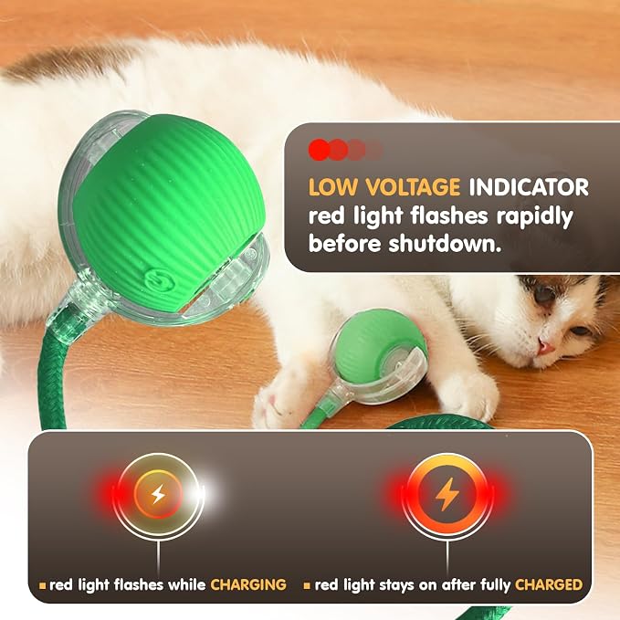 Rocfish Durable Interactive Cat Toys for Indoor Cats (Green, 01)